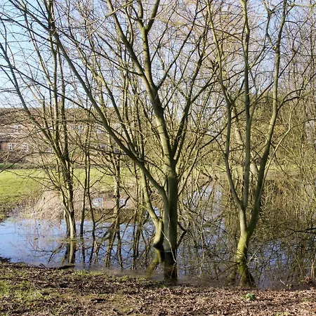 Vakantiehuis Trueman